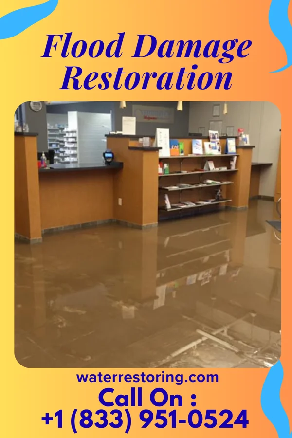 Flood Damage Restoration in Wabasso Beach, FL