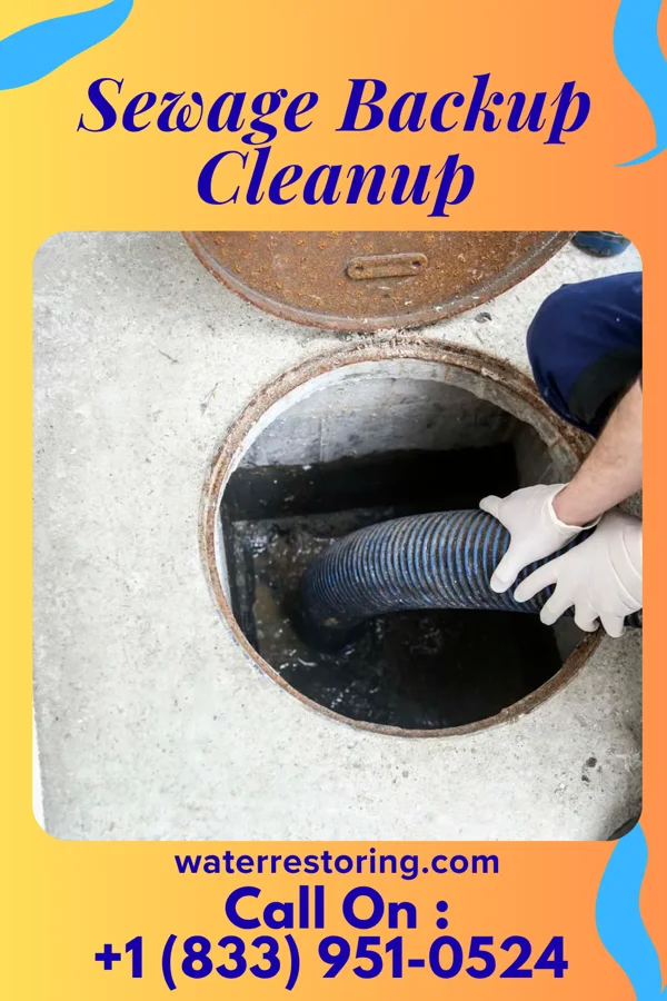 Sewage Backup Cleanup in Wabasso Beach, FL
